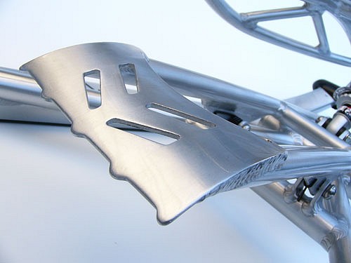 alurunner04.jpg