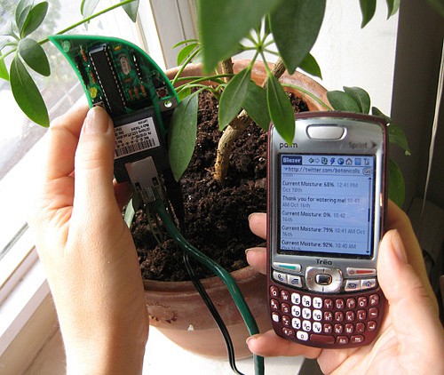 botanicalls1.jpg