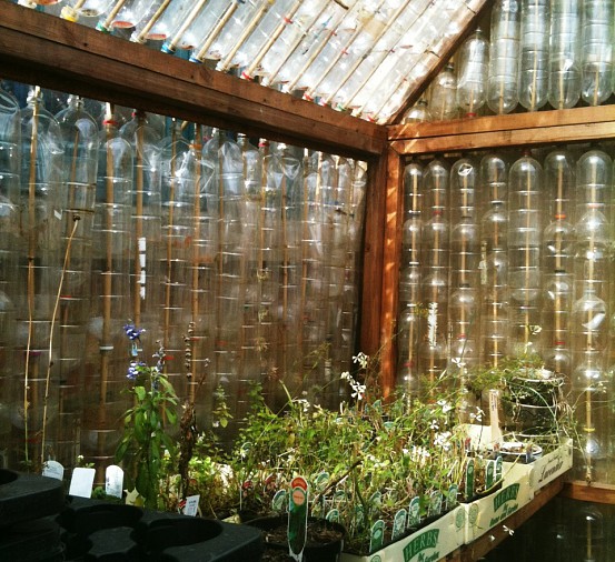 recycled-drinks-bottle-greenhouse.jpg