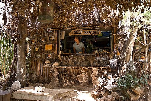 Safari bar