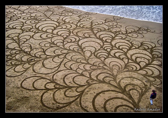 111219-playa-painting-mussels-web.jpg