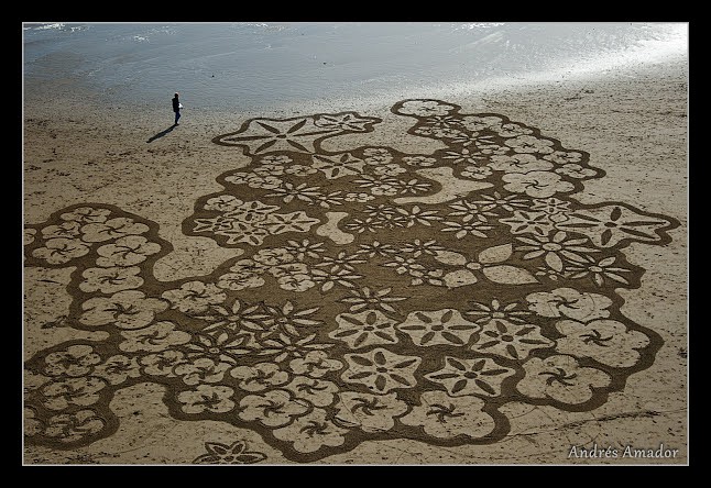 flowers-9397-web.jpg