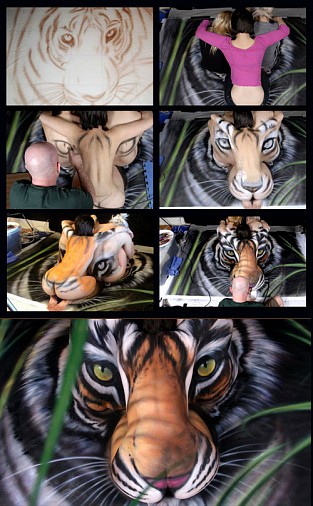 cinsky-tiger-postup.jpg