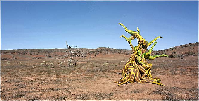 emma-hack-tree.jpg