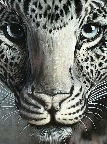 Na prvý pohľad leopard