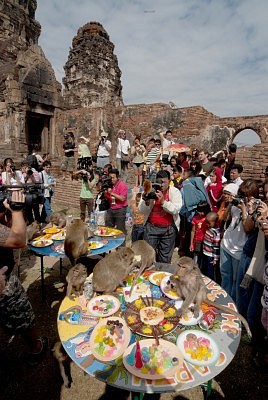 15792301-lopburi-thailand-no-v-30-monkeys-enjoys-the-annual-monkey-buffet-festival-at-temple-more-than-2-000-.jpg