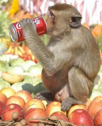 interesting-monkey-festival-in-lopburi-thailand4.jpg
