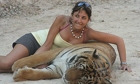 tigertemple2.jpg