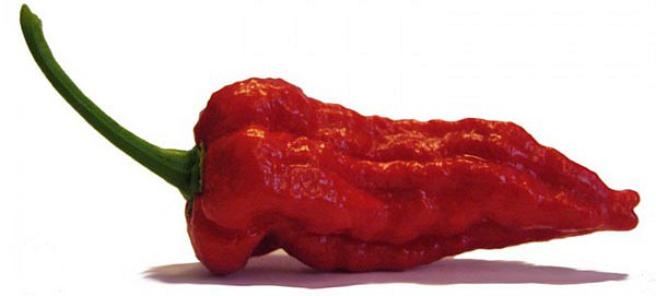 naga-jolokia-chilli-700x700.jpg
