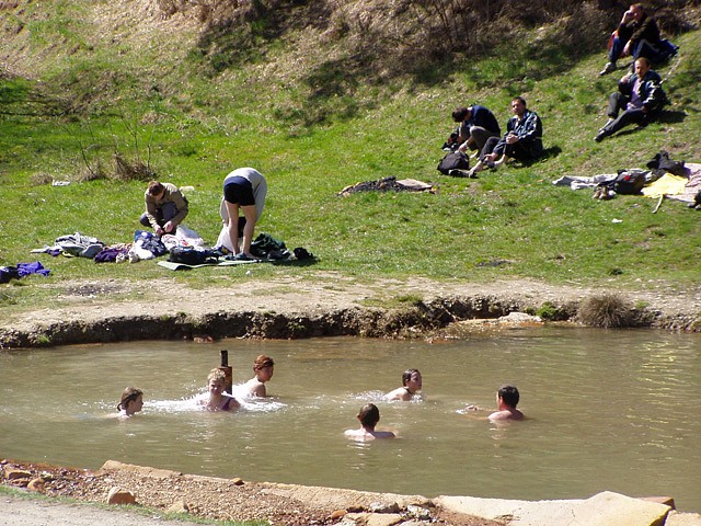 p1010034.jpg