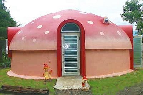 Táto veselá muchotrávka je v skutočnosti KARAOKE BAR