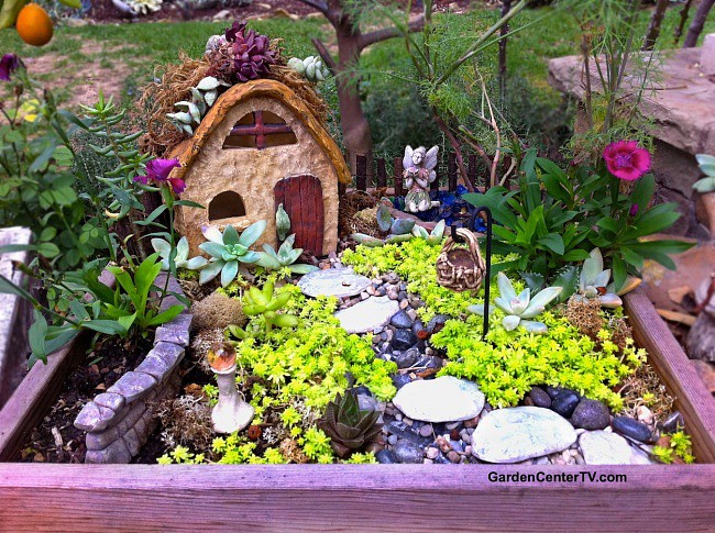 fairycottageminiaturegardengardencentertv.jpg