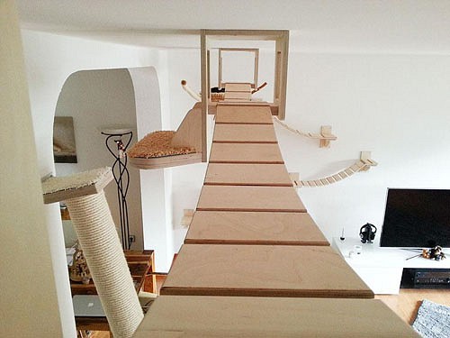 overhead-cat-playground-room-goldtatze-2.jpg