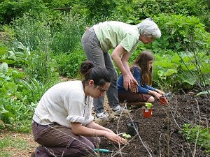 avi.gardenwork-300x225.jpg