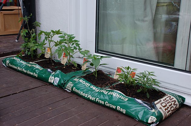 tomato-bag.jpg