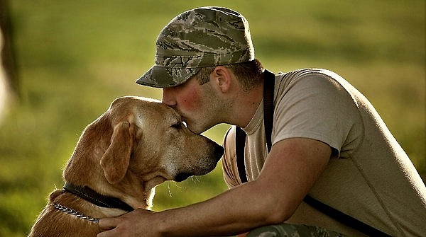 dog-loyalty-best-friend-8.jpg