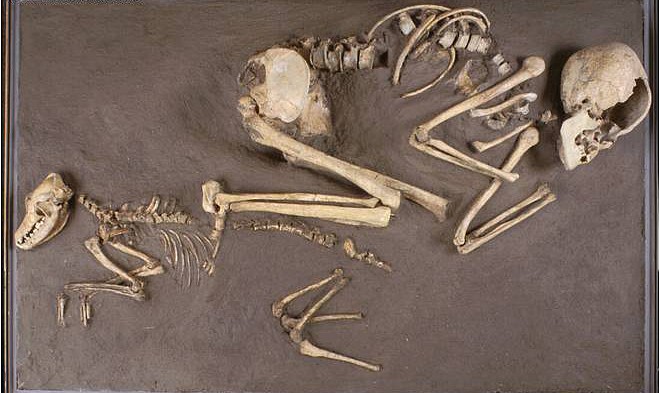 foto-archab086.jpg