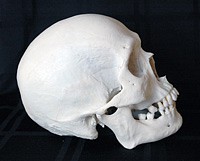 3712-2.jpg