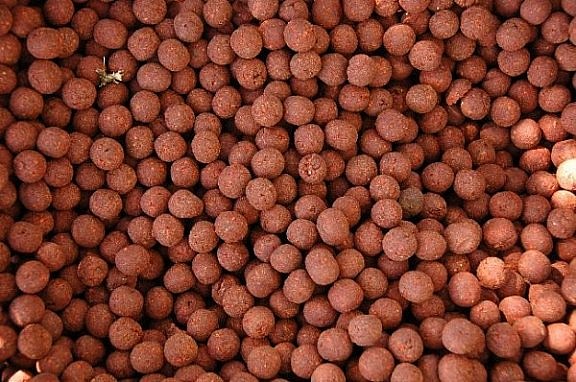 Domáce boilies si môžete pripraviť podľa vlastných predstáv