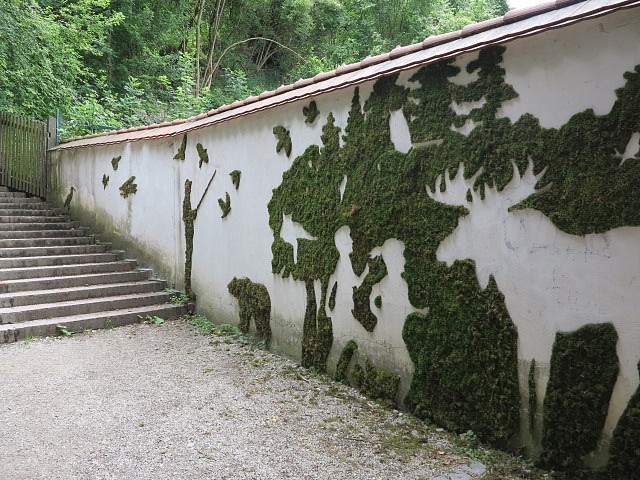 a06.jpg