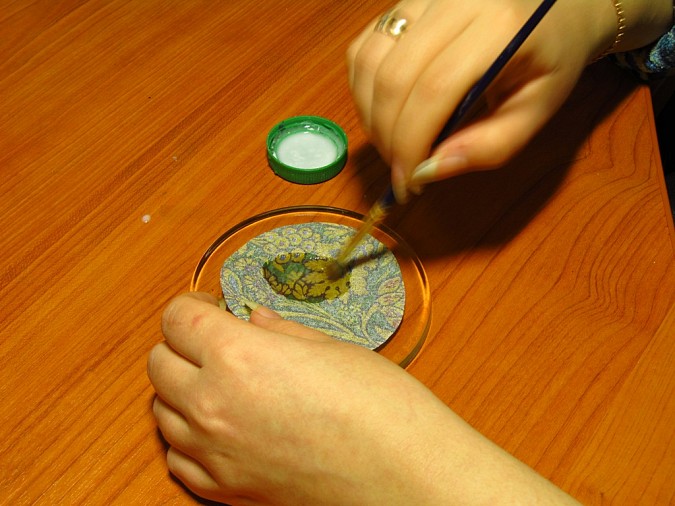 07.jpg