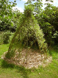 tipi.jpg