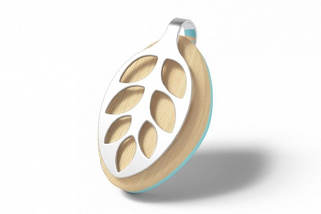 bellabeat-leaf-038-640x427-c.jpg
