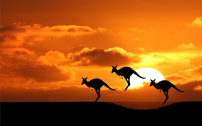 australia.jpg