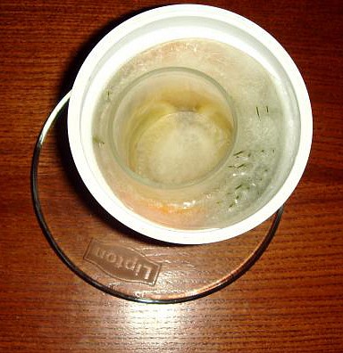 08.jpg