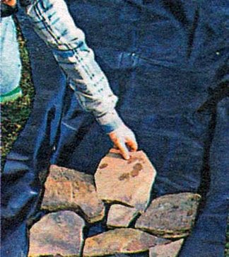 p4.jpg