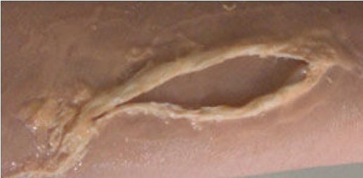 j03.jpg