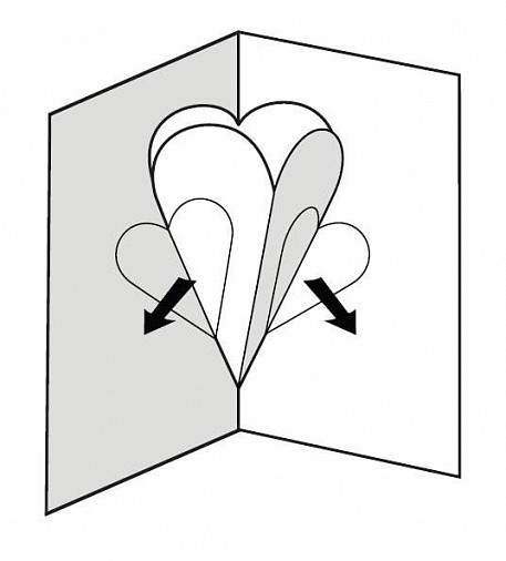 p10.jpg