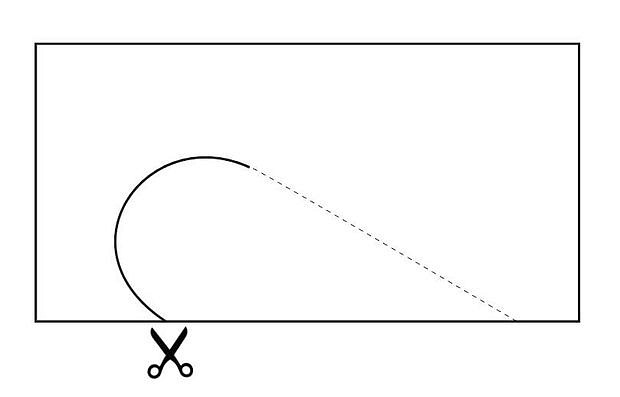 p4.jpg