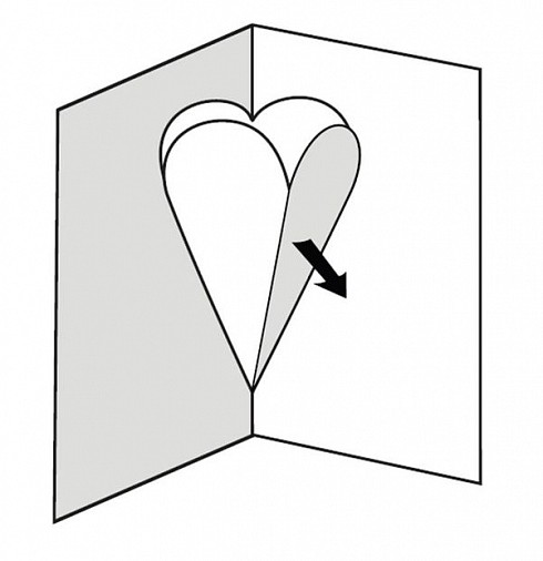 p6.jpg