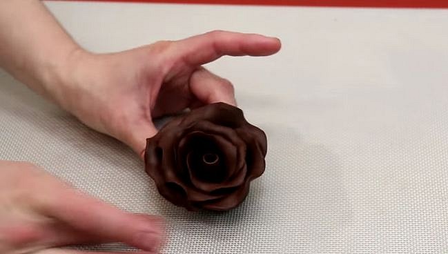 p11.jpg