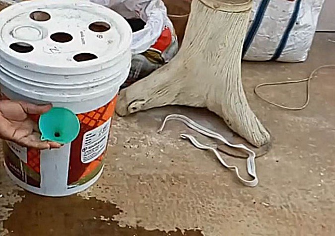 p10.jpg
