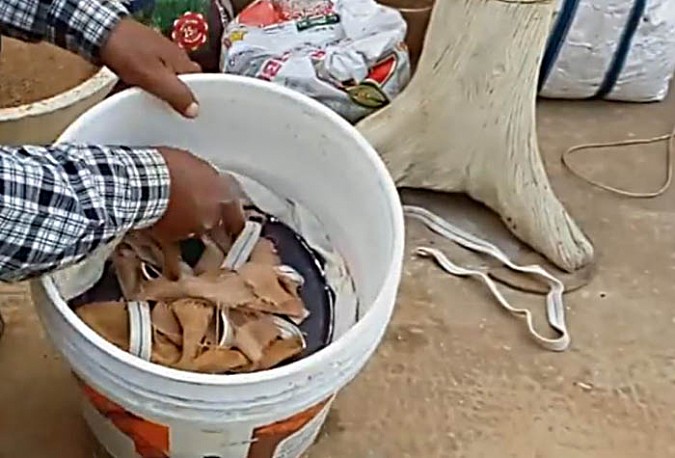 p7.jpg