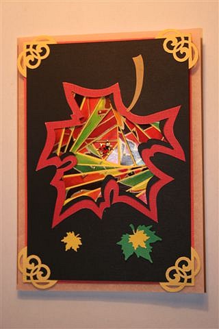 p1.jpg