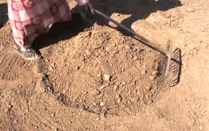 p2.jpg