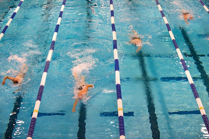 swimming-659903-1920.jpg