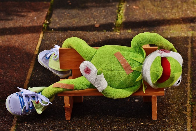 kermit-1766149-1920.jpg