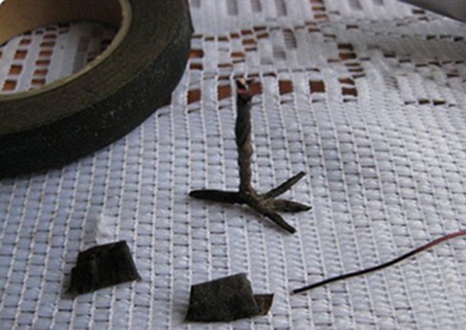 p16.jpg
