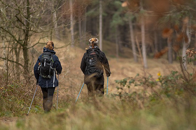 hiking-5863697-640.jpg
