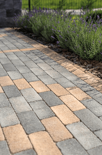 dlazba-patio.png