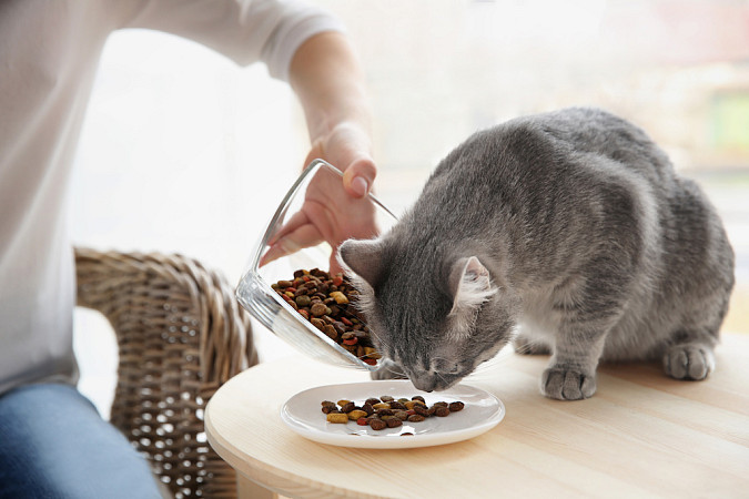 obr.2-adobestock-142282784.jpeg