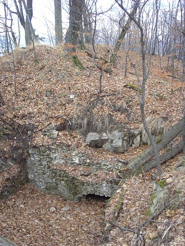 Výstavba hradu Teplica sa spája s pobytom templárov na Slovensku