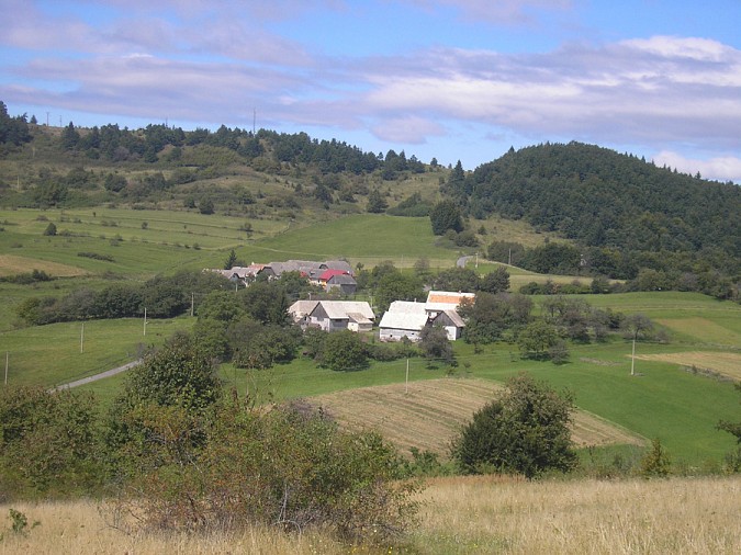 kralova3.jpg