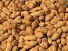 1169378-peanuts.jpg