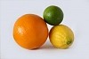 1281545-citrus.jpg