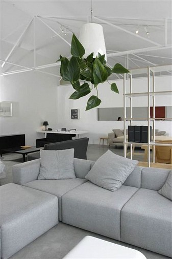 plant.jpg